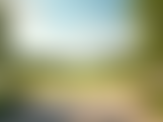 Ontdek de activiteitenkalender van BOSSpark in Sittard