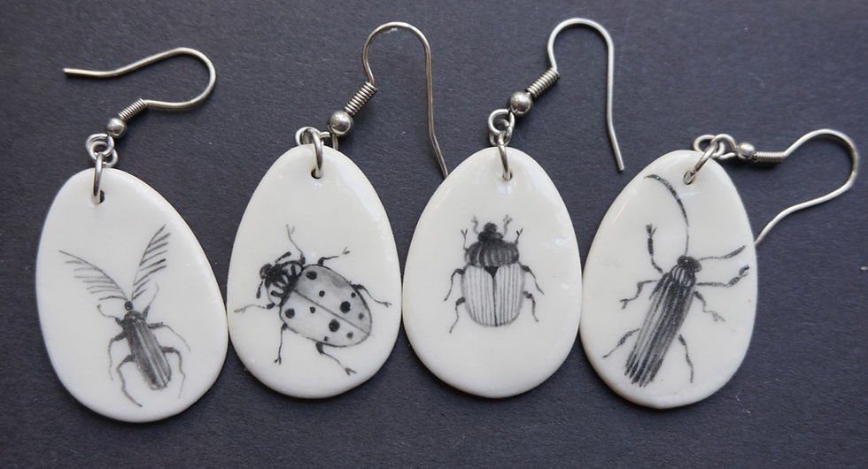 insects goute mix 4 types