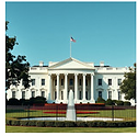 image (3).png