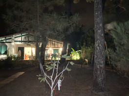 IMG_1574.jpeg