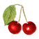 cherry 2.png
