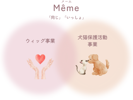 特定非営利活動法人Mêmeについて