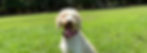 photo-output 7_edited.jpg