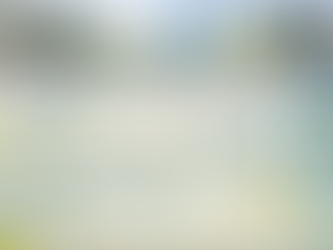 ⛳️🏌️2025年11月のレッスンスケジュール決定！