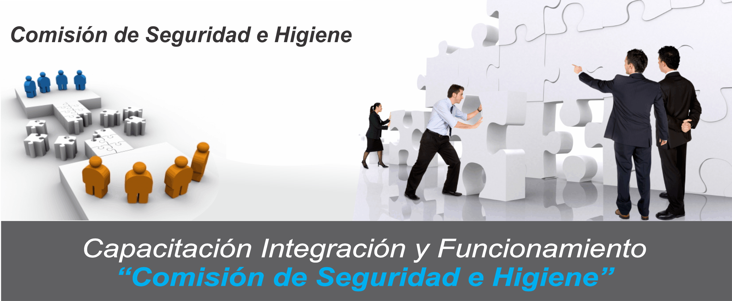 COMISIÓN DE SEGURIDAD E HIGIENE