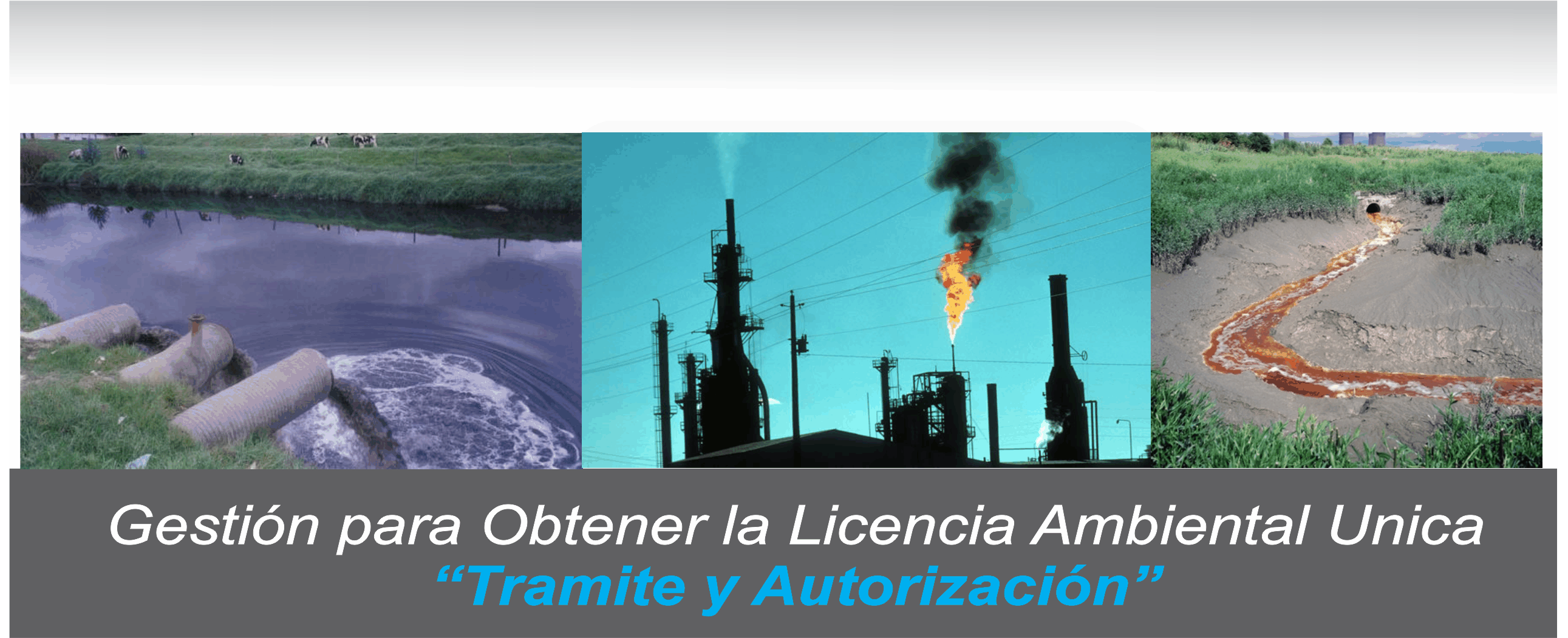 LICENCIA AMBIENTAL UNICA