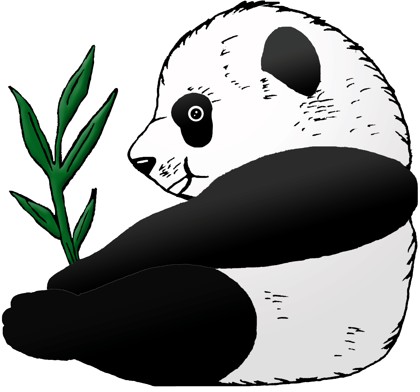 Oso