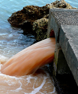 Polluted Water