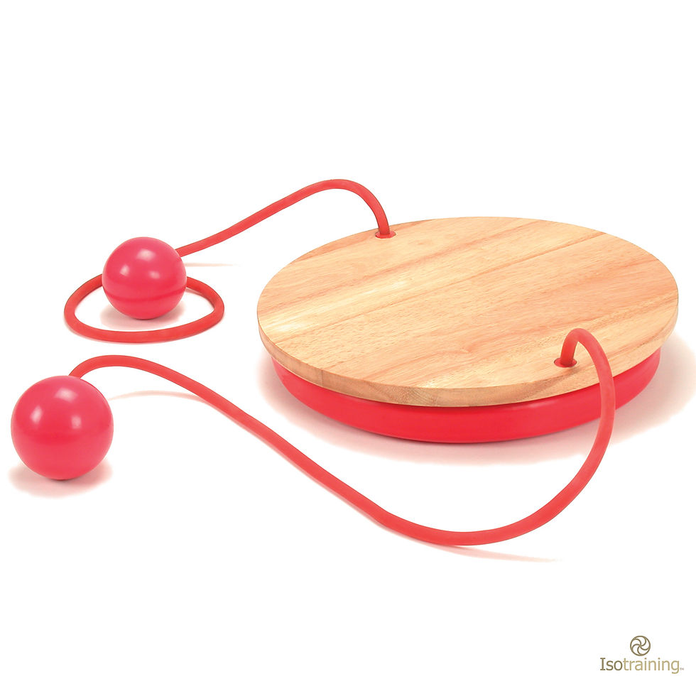 縮圖：Isoboard Pro 橡木全功能組