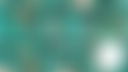 Reading Roles Generic Reading Activity Exemplified