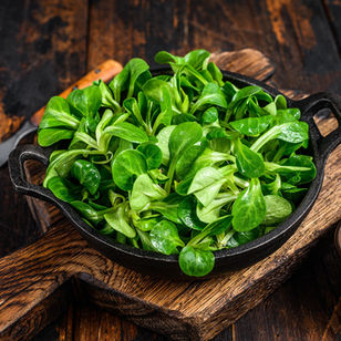 Feldsalat
