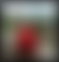 Object of Affection: Toro Bull