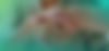 Head.jpg