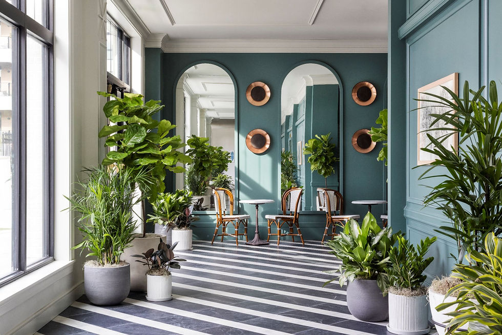 garden lounge 2
