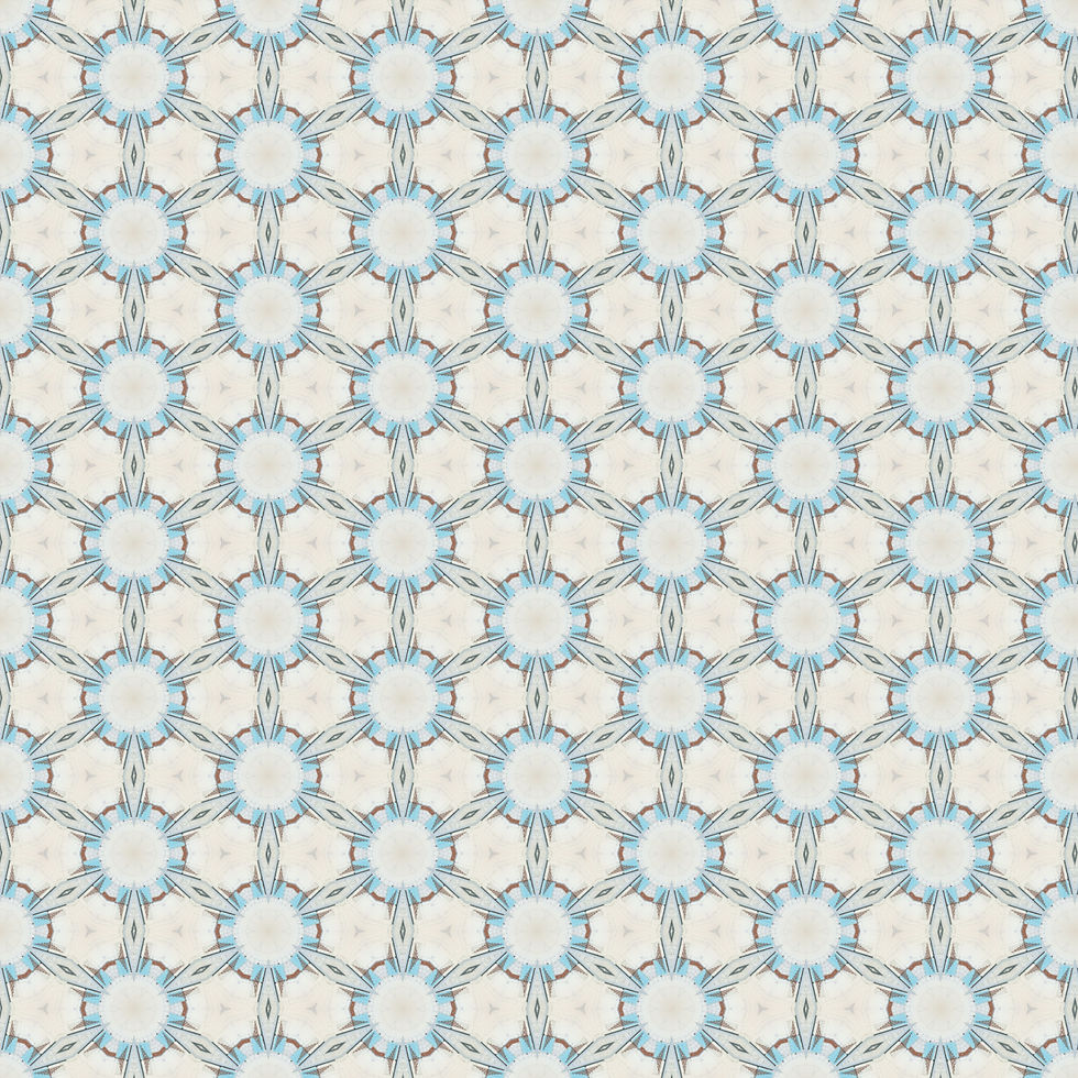 ARCHITECTURAL PLAN FLAKE