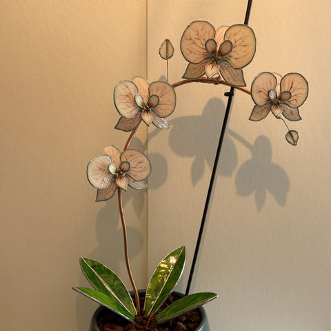 Stained Glass Orchid