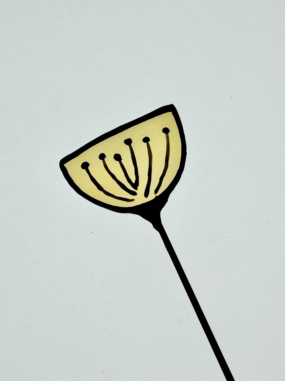 Thumbnail: 'Dorothy' Wildflower Seed Pod Flower Stem