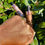 Thumbnail: Liquid Illuminator - BRONZE