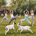 people doing yoga, with 4 young goats jumping around them