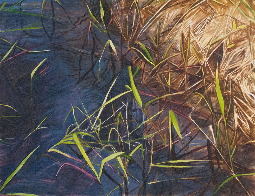 Weedscape 8 (spring)