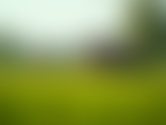 Innovating Rural Architecture: Empowering Communities Through Design