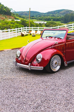 WhatsApp Image 2023-12-05 at 07.13.11 (1)