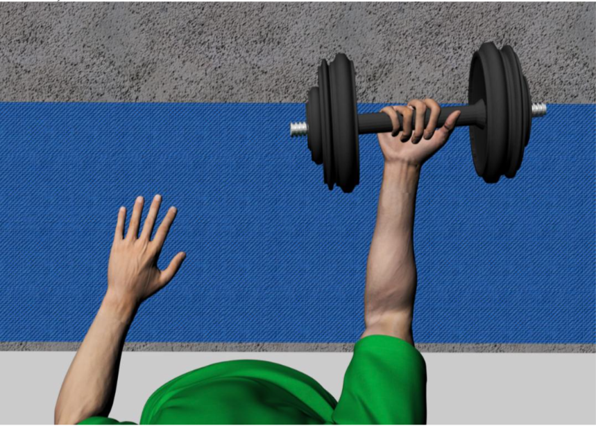 modélisation de la flexion du biceps en réalité virtuelle
