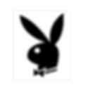 Playboy