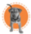 Support the animal shelter in Victor, Idaho