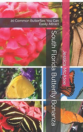 sfbb coverfromamazon.jpg
