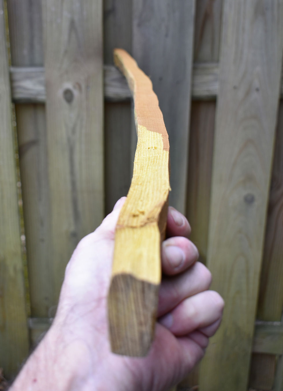 Thumbnail: Osage Orange Bowmaking Stave