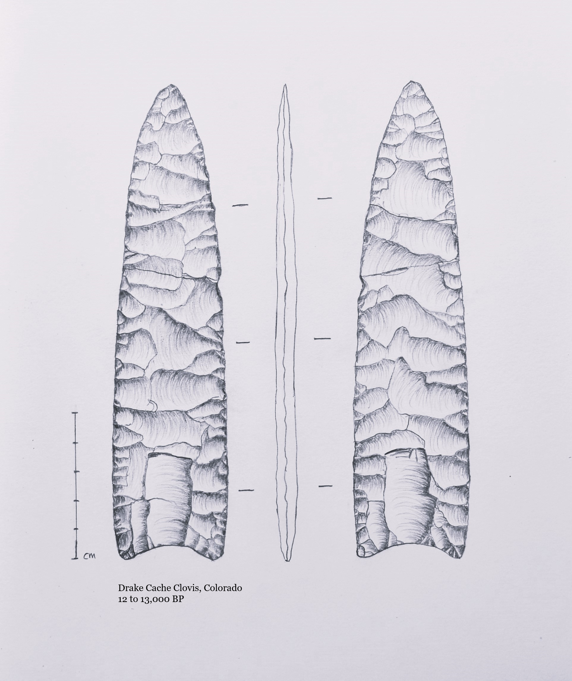 Lithic Illustration Art Print/ Drake Clovis Point