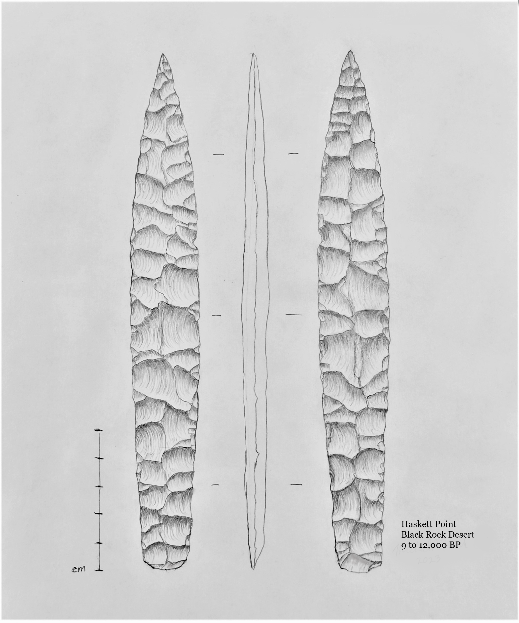 Lithic Illustration/Art Print/Haskett Point