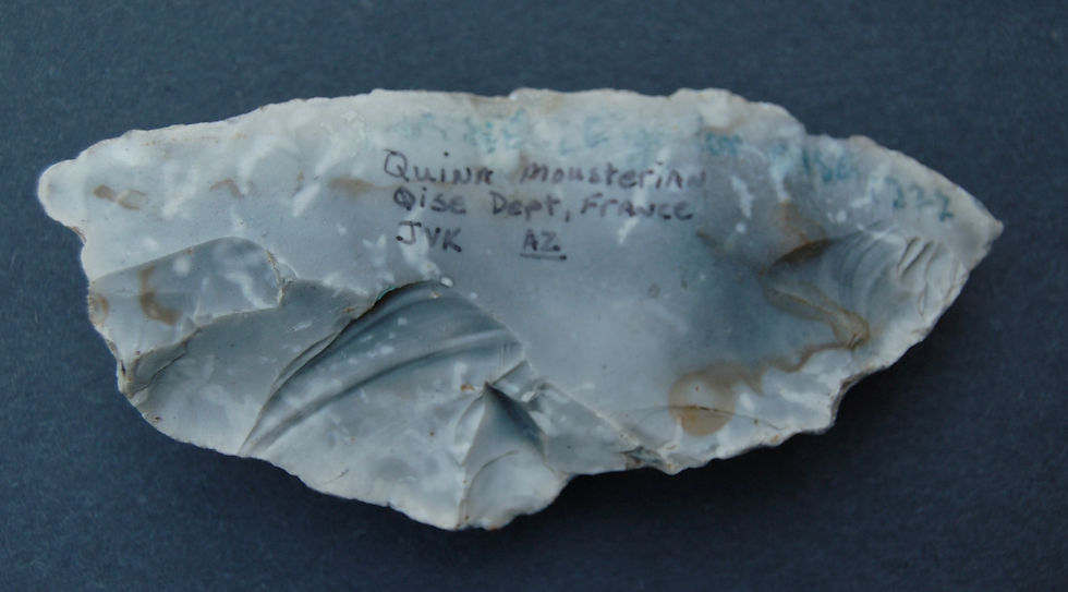 Thumbnail: Neanderthal Levallois Tool Cast