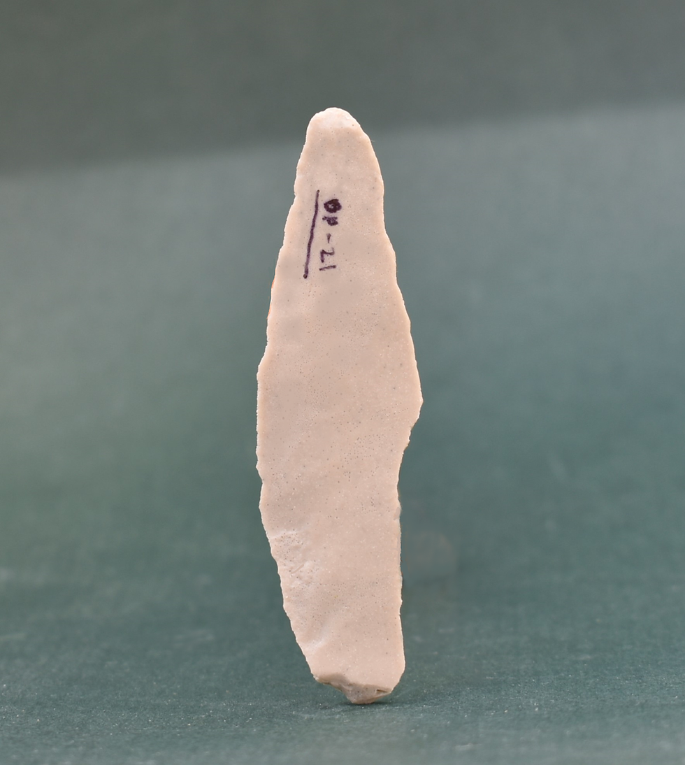Thumbnail: Gravettian Shouldered Point Cast