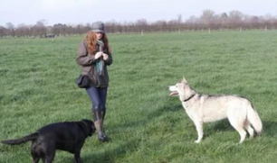 Pack Walks – The Good, the Bad and the Ugly