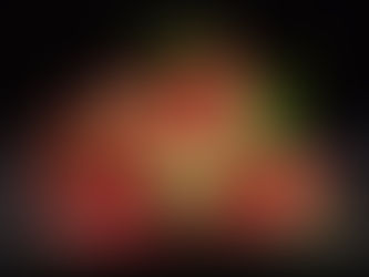 AQUA's Fish-Free Feast Makes Waves in Chicago