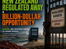 How Backward Regulation Cost New Zealand a Billion-Dollar Industry Media Slide