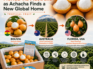 Achacha_Media_Slide