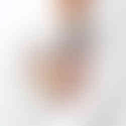 Arpege - A selection of Alain Passards plated plant-based dishes.