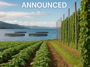 KiwiNet Finalists Announced