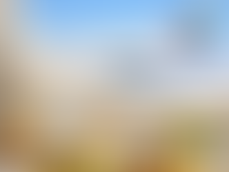 Emirates Reboots Vegan Catering with Back to Basics Approach visual media slide 