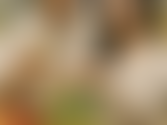PFN Ai Archives - Depiction of Asian couple buying kiwifruit
