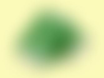 Premium Plant-Based Butter, Herbivore, Challenges Dairy Dominance in NZ Supermarkets