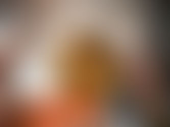 Solein Takes Centre Stage in Brooklyn As A New Era of Fine Dining Begins