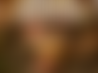 The Tiny People Mushroom Mystery visual media slide