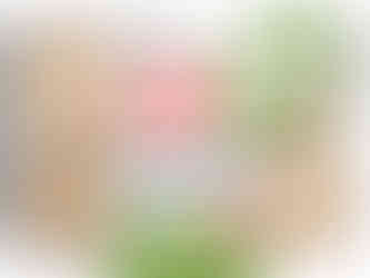 UK Herbimore product 5