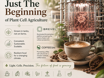 Brevel_Coffeesai_Media_Slide