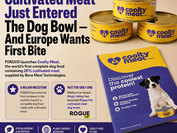 Cultivated Meat Dog Food And Europe Wants First Bite media slide
