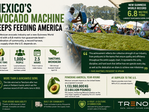 Mexico’s Avocado Empire Just Served The US A 6.8-Tonne Bowl Of Guacamole media slide